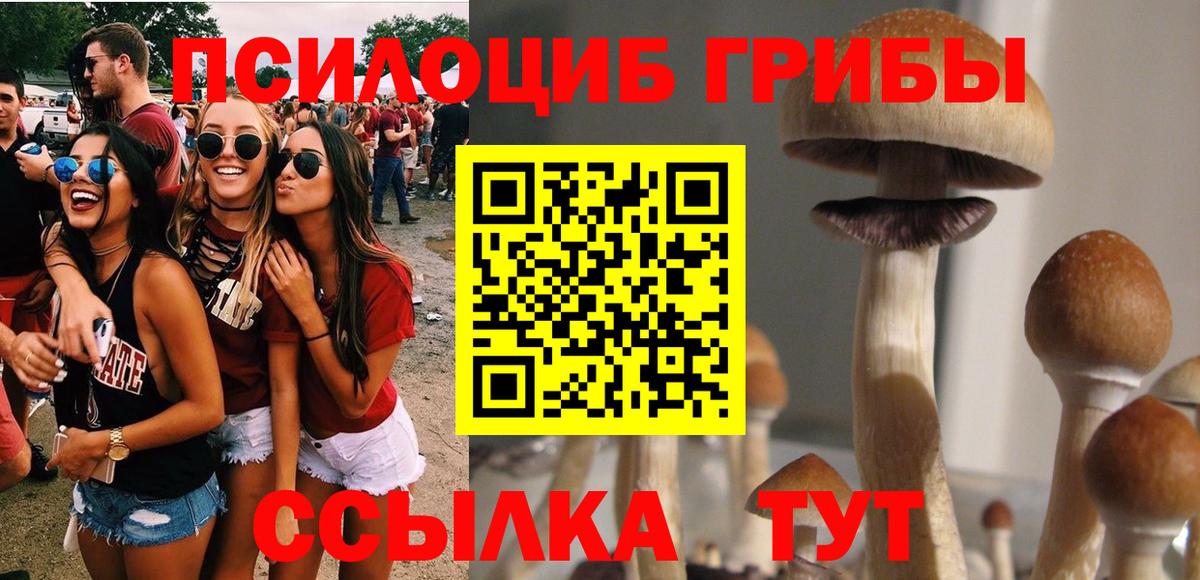 где купить наркоту  Вход с VPN  Псилоцибиновые грибы MAGIC MUSHROOMS  Донской  Галлюциногенные грибы Cubensis 
