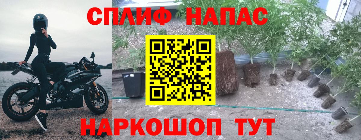 Канабис Amnesia Донской